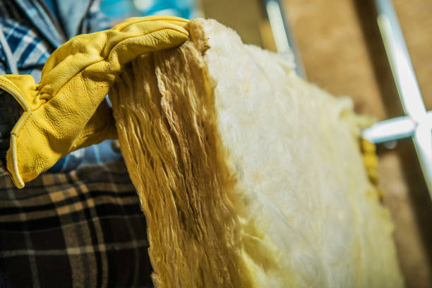 Best Eco-Friendly Insulation in North Fond Du Lac, WI