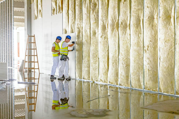 Best Specialized Insulation Services in North Fond Du Lac, WI